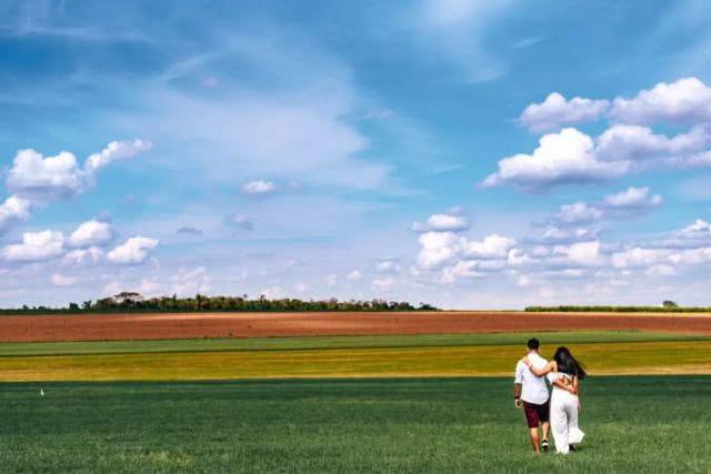 「白衣梧桐」一个中年男人如果真的不想失去你，他会特别在意这些事情