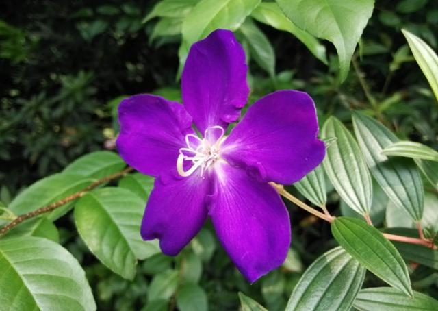 格式化孤单■做人，就要问心无愧，坦坦荡荡，过一生；安安分分，活一世