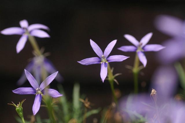 格式化孤单■做人，就要问心无愧，坦坦荡荡，过一生；安安分分，活一世