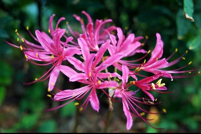 小莉情感励志说@做个好人，一生平安