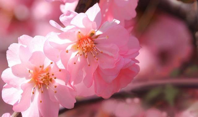 小莉情感励志说@做个好人，一生平安