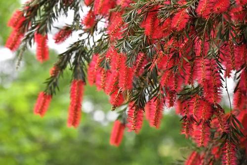 锦绣河山在中华@不害怕改变，就能和幸福遇见