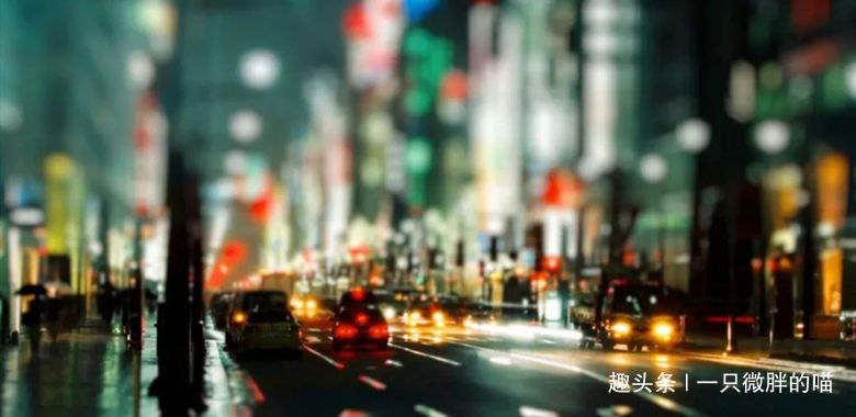 「一只微胖的喵」城市很大，孤独的人都很晚回家