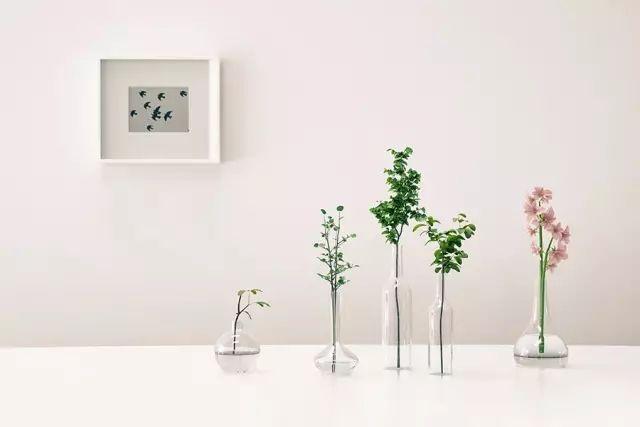 「淮安淮安」幸福就是，有家可回、父母健在、爱人相伴、子女康健