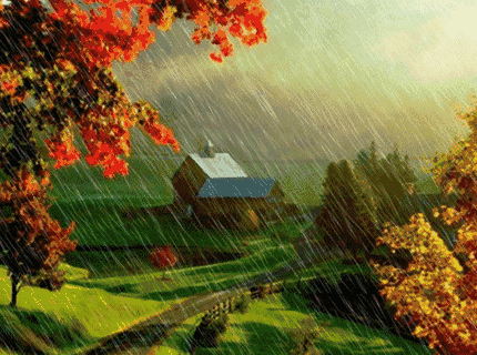 【老蒋书房】秋雨，太美了那凉意，是一种温暖也是一种思念