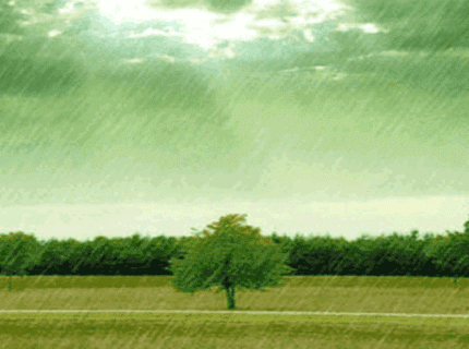 【老蒋书房】秋雨，太美了那凉意，是一种温暖也是一种思念