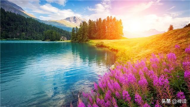 [大大说]人生百味，情最浓；人生繁华，淡最真