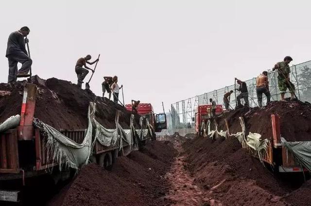 柠檬美文■没有一件工作不辛苦，加油！