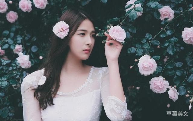 「励志的娱乐」多想有个人，懂我的坚强，是伪装；懂我的能干，是硬抗