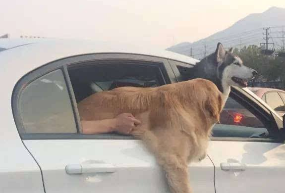 「汽车幻影骑士」同样的车，为何你油耗比别人多？5点原因很重要