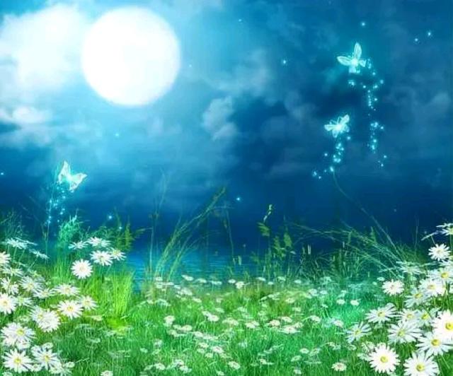 心理观察家：除了父母，我谁也不欠