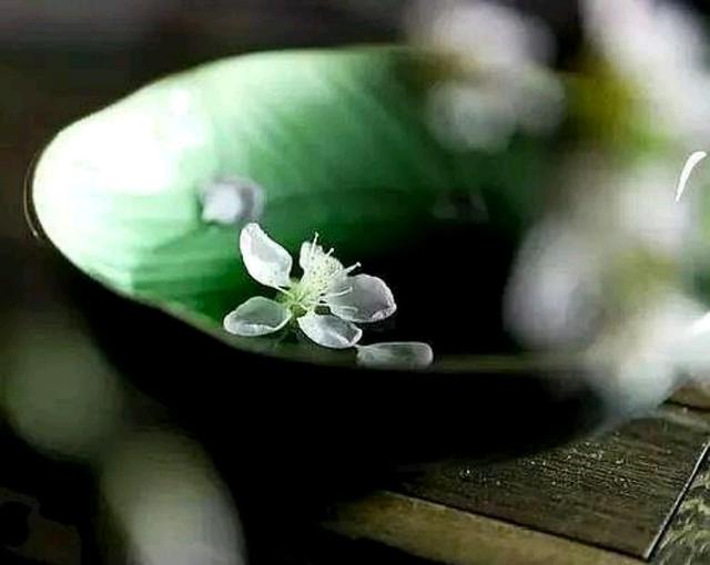 心理观察家：除了父母，我谁也不欠