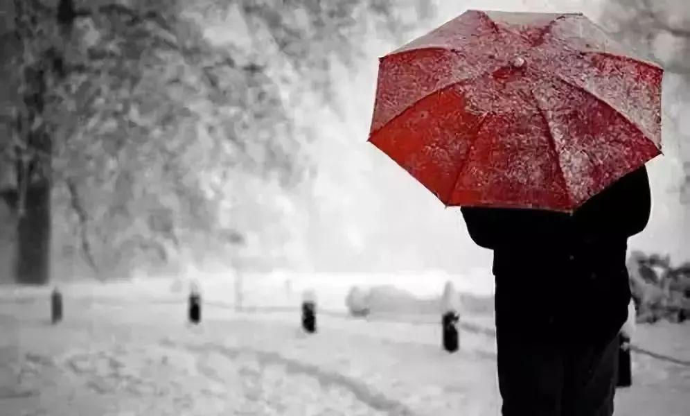 「魅力女人」钱和面子！看完成熟十年