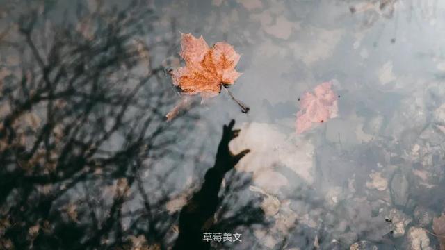 「励志的娱乐」放过自己吧！别想太多！那些爱过的，哭过的，笑过的，都是命