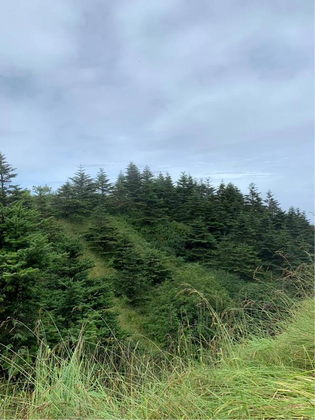 家庭教育关老师■认真想一想，认真思考未来的路该怎么走！