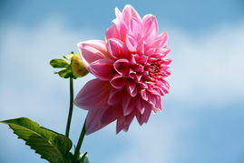 「依鱼」宁可今天抢一秒，不可明日等一分