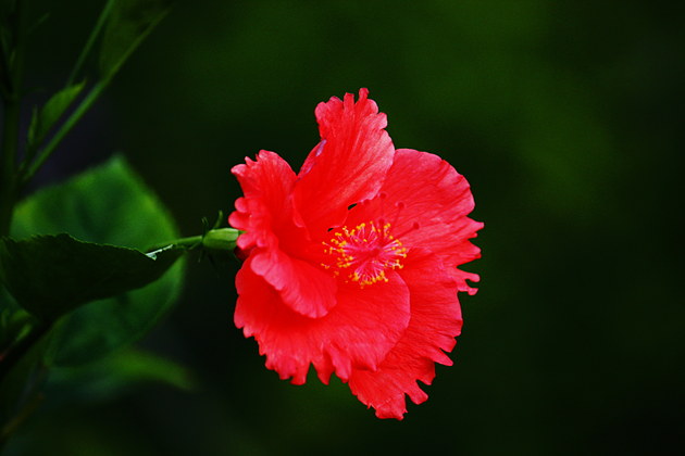 「依鱼」宁可今天抢一秒，不可明日等一分