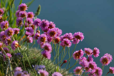 「依鱼」宁可今天抢一秒，不可明日等一分