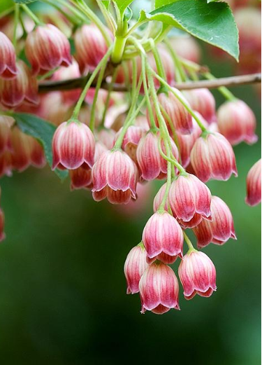 浅浅情感说■别人看不起您，很不幸；自己看不起自己，更不幸