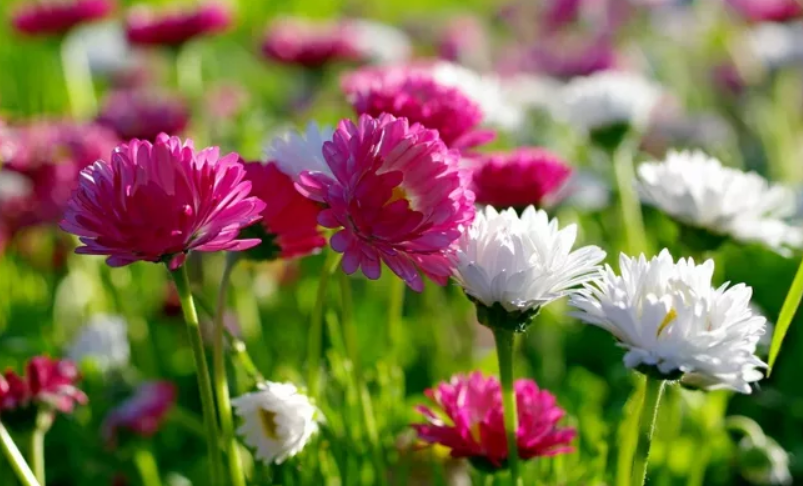 浅浅情感说■别人看不起您，很不幸；自己看不起自己，更不幸