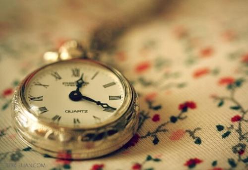 【校园留声机】狼和狗聊天，狼吓得拔腿就跑