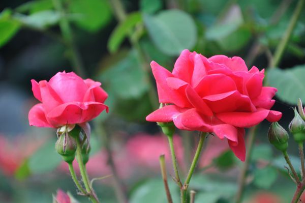 【痞子飞】我们不求无过，但求无悔