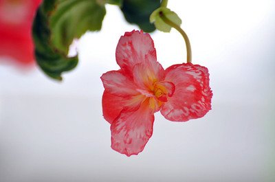 【痞子飞】我们不求无过，但求无悔