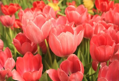 【痞子飞】我们不求无过，但求无悔