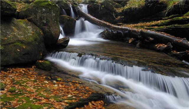 禅读TB■人生是一场追求，也是一场领悟