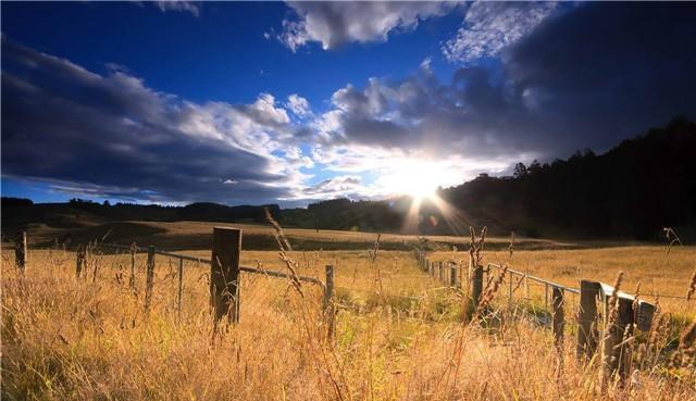 禅读TB■人生是一场追求，也是一场领悟