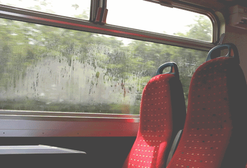 草莓美文：不为往事忧，只为余生笑；感谢经历 , 笑过余生