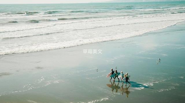 「草莓美文」感恩，所有对我好的人；一路有你，希望余生，我们相伴到底