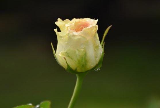 【心理观察家】这四种人，活得最累