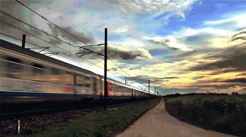 「朗宝」不为往事忧，只为余生笑！