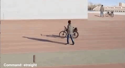 旅途蓬安：真的要和驾驶证说再见了！没想到来的这么快！