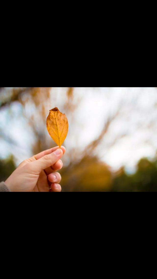 「AAA醉百合」人生不要留下遗憾