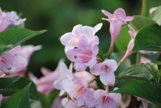 「成功职场宝典」人到50，若还在说这三句话，往往预示着，无法逃脱这三种人生苦难
