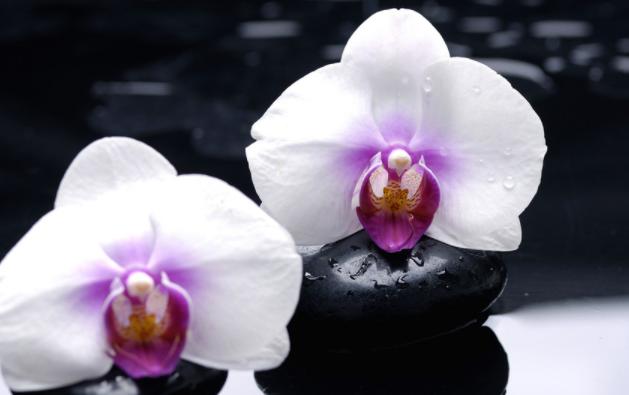 「成功职场宝典」人到50，若还在说这三句话，往往预示着，无法逃脱这三种人生苦难