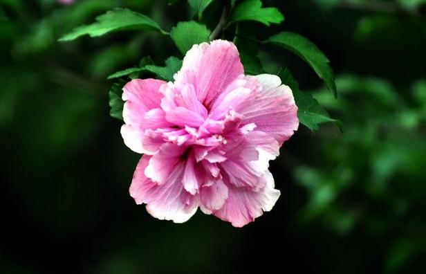 「成功职场宝典」人到50，若还在说这三句话，往往预示着，无法逃脱这三种人生苦难