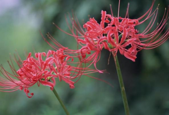 「成功职场宝典」人到50，若还在说这三句话，往往预示着，无法逃脱这三种人生苦难