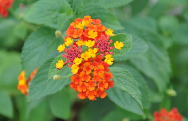 「成功职场宝典」人到50，若还在说这三句话，往往预示着，无法逃脱这三种人生苦难