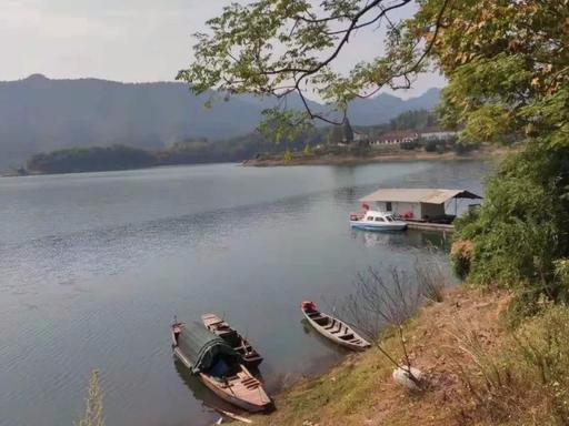 【新故乡文学】人在旅途：人生能走多少步或许是个定数，走太快未必值当