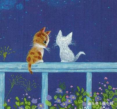 #张小鹏#给不了我依靠，给不了我安慰，你有什么资格说爱我？