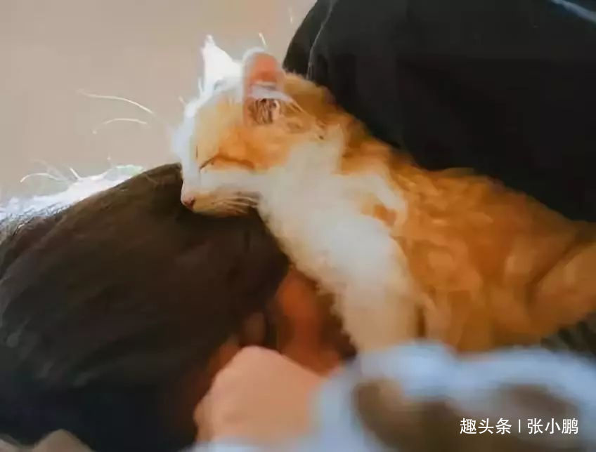 #张小鹏#给不了我依靠，给不了我安慰，你有什么资格说爱我？