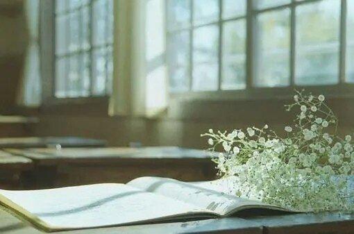 「情感文章丶」遇见，真的很美，思念，真的很暖