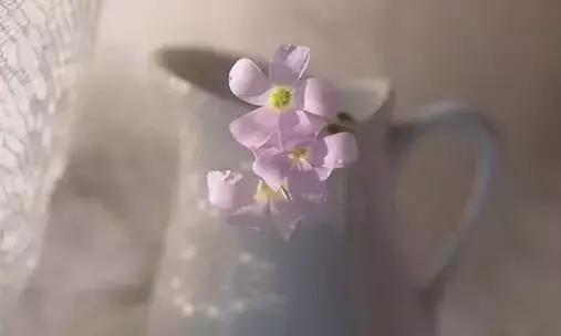 「情感文章丶」遇见，真的很美，思念，真的很暖