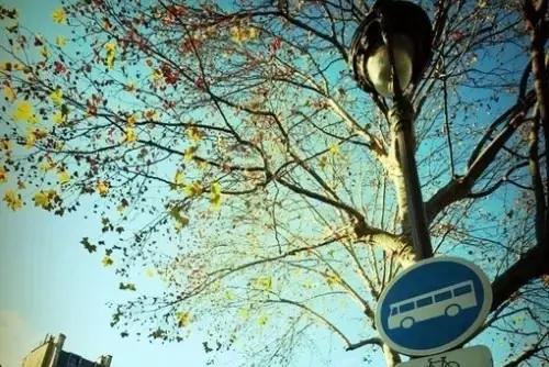 「掌上抚州」做人，要干干净净，做事，要有始有终