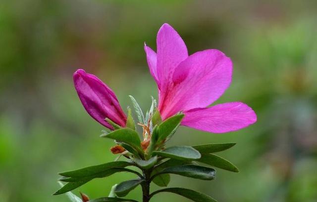 励志司机锐锐■愿做一个阳光的人，通透一生