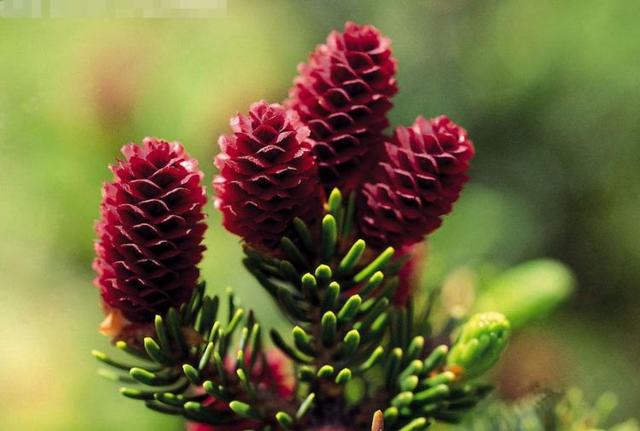 励志司机锐锐■愿做一个阳光的人，通透一生