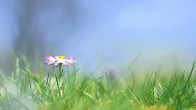 「柠檬美文」一个老人的人生感言，值得60岁以上的朋友收藏品读